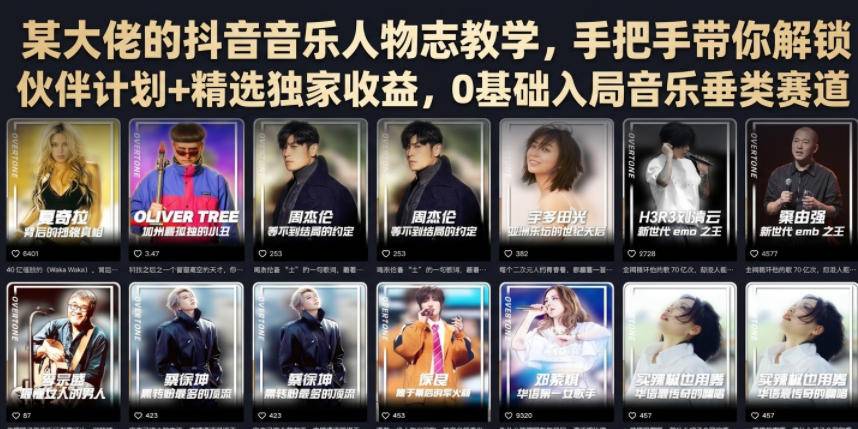 某大佬的抖音音乐人物志教学，手把手带你解锁伙伴计划+精选独家收益，0基础入局音乐垂类赛道-极栈网络
